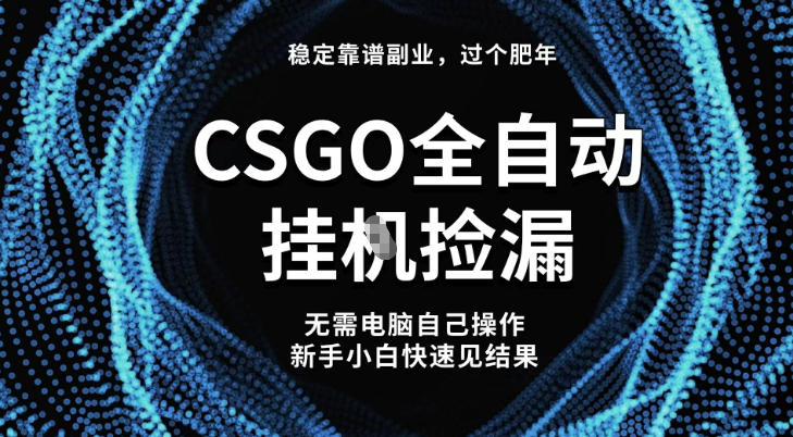 【稳定副业】全球最热门游戏CSGO全自动捡漏，最新玩法，新手小白日入5张+【揭秘】-蓝海云网创