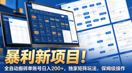暴利新项目！全自动搬砖单账号日入200+，独家矩阵玩法，保姆级操作【揭秘】-蓝海云网创