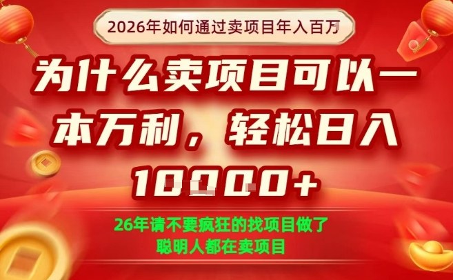 一单净利润1K+，26年想年入100个W，死磕卖项目就够了【揭秘】-蓝海云网创