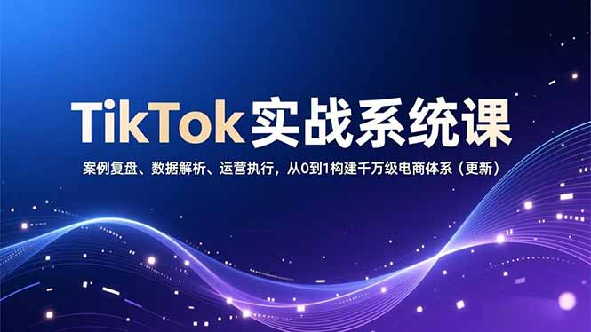 TikTok实战系统课，案例复盘、数据解析、运营执行，从0到1构建千万级电商体系(更新-蓝海云网创