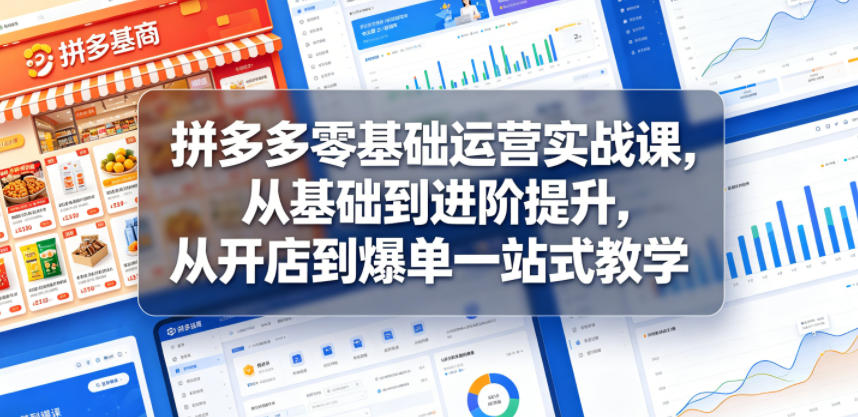 拼多多零基础运营实战课，从基础到进阶提升，从开店到爆单一站式教学-蓝海云网创