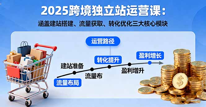 2025跨境独立站运营课:涵盖建站搭建、流量获取、转化优化三大核心模块-蓝海云网创