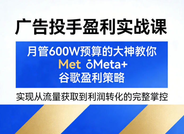广告投手盈利实战课，月管600W预算的大神教你Meta+谷歌盈利策略，实现从流量获取到利润转化的完整掌控-蓝海云网创