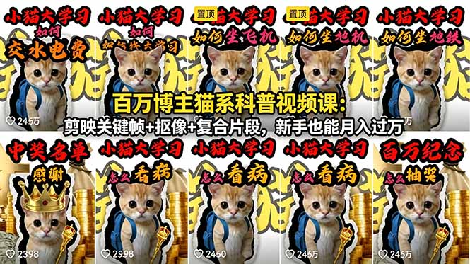 百万博主猫系科普视频课：剪映关键帧+抠像+复合片段，新手也能月入过万-蓝海云网创