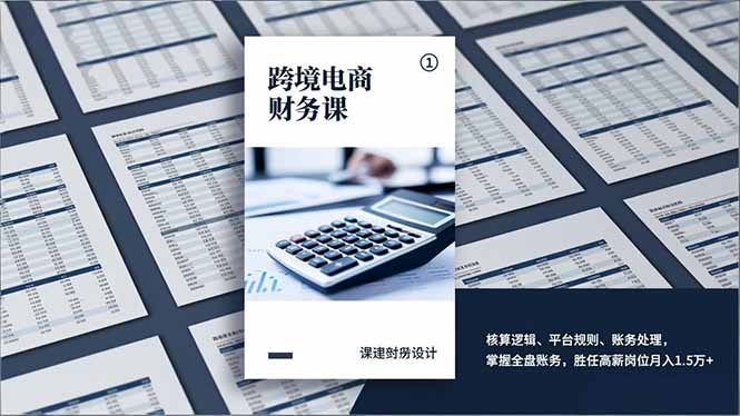 跨境电商财务课，核算逻辑、平台规则、账务处理，掌握全盘账务，胜任高薪岗位月入1.5万+-蓝海云网创