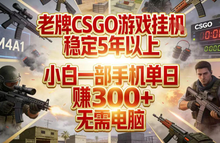 老牌CSGO游戏挂G，稳定5年以上，小白一部手机单日賺3张+，无需电脑【揭秘】-蓝海云网创