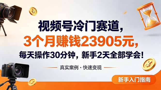视频号冷门赛道，3个月变现23905元，新手2天学会 每天操作30分钟！-蓝海云网创