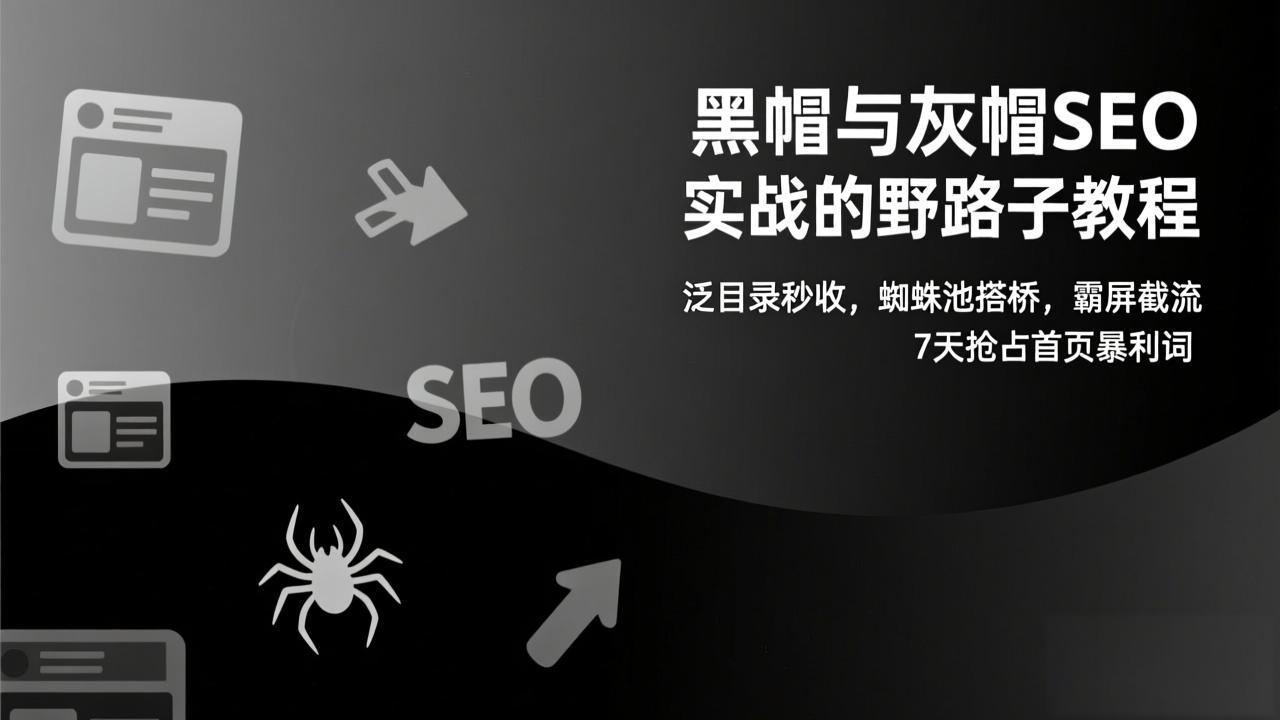 黑帽与灰帽SEO实战的野路子教程：泛目录秒收，蜘蛛池搭桥，霸屏截流，7天抢占首页暴利词-蓝海云网创