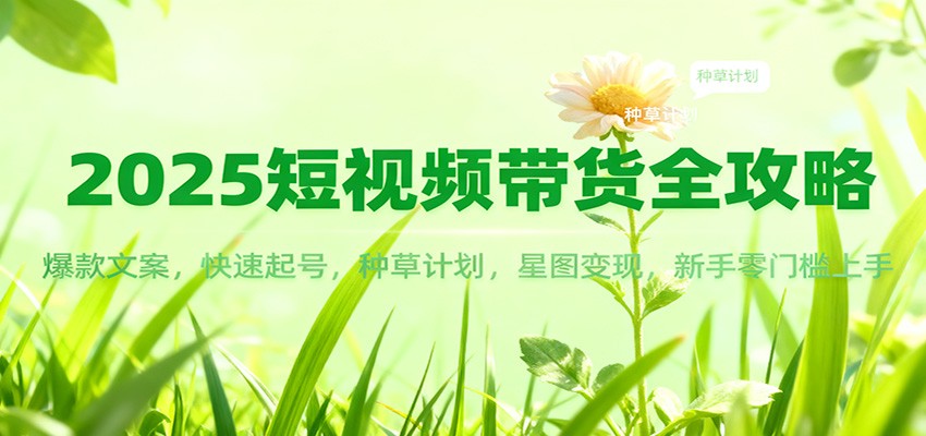 2025短视频带货全攻略：爆款文案，快速起号，种草计划，星图变现，新手零门槛上手-蓝海云网创