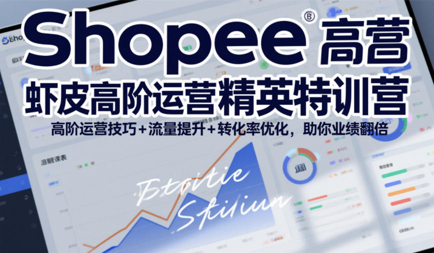 Shopee虾皮高阶运营精英特训营，高阶运营技巧+流量提升+转化率优化，助你业绩翻倍(更新26年5月)-蓝海云网创