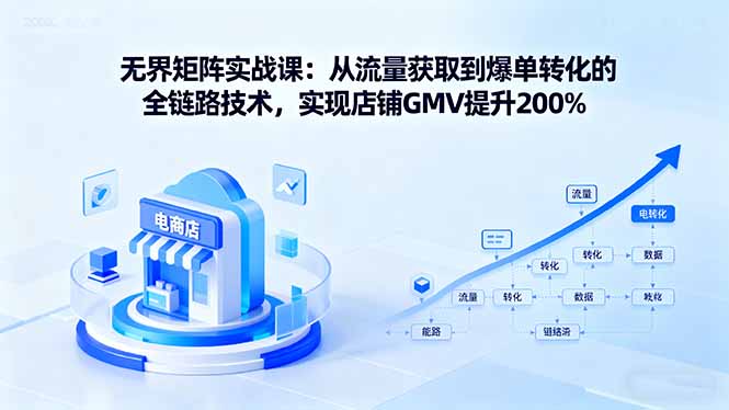 无界矩阵实战课:从流量获取到爆单转化的全链路技术,实现店铺GMV提升200%-蓝海云网创