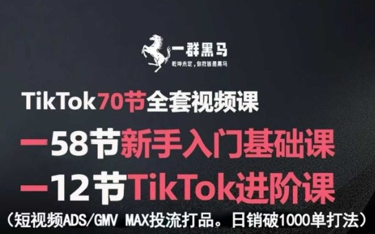 TikTok全套视频课,新手入门+进阶课,短视频ADS-GMV MAX投流打品,日销破1000单打法-蓝海云网创