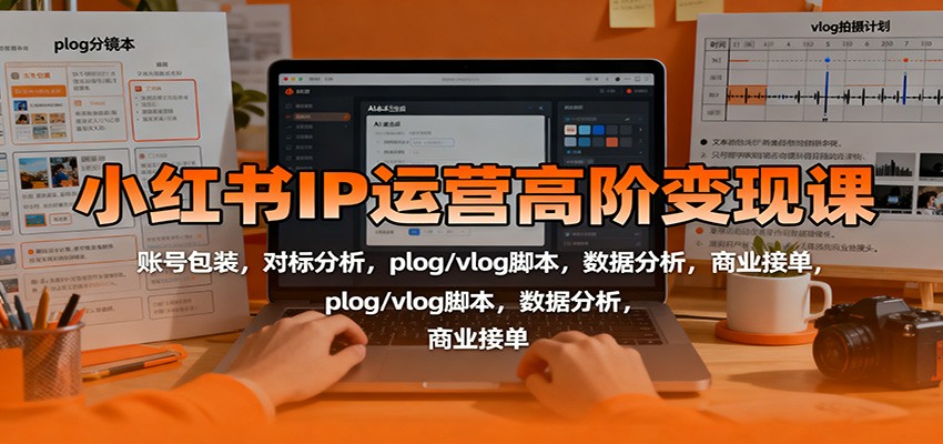 小红书IP运营高阶变现课：账号包装，对标分析，plog/vlog脚本，数据分析，商业接单-蓝海云网创