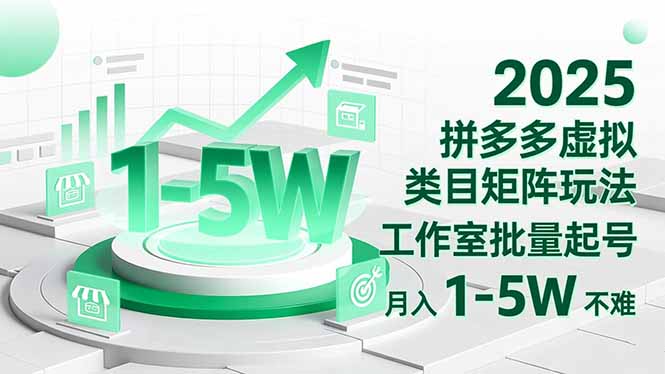 2025 拼多多虚拟类目矩阵玩法,工作室批量起号,月入 1-5W 不难-蓝海云网创