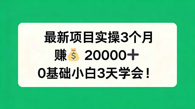 最新项目实操3个月，赚钱20000+，0基础小白3天学会！-蓝海云网创
