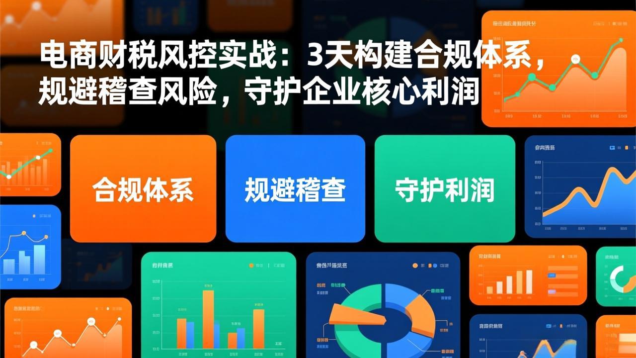 电商财税风控实战:3天构建合规体系,规避稽查风险,守护企业核心利润-蓝海云网创