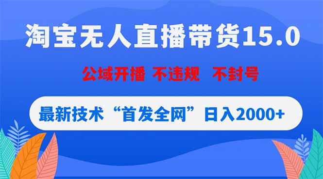 淘宝无人直播带货15.0，不封号，不违规，公域玩法，首发全网日入2000+-蓝海云网创