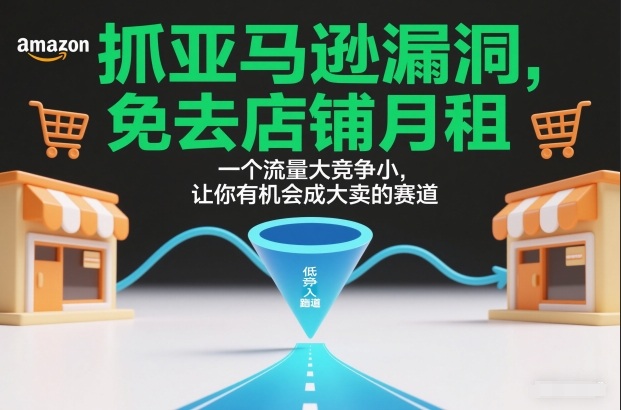抓亚马逊漏洞，免去店铺月租，一个流量大竞争小，让你有机会成大卖的赛道-蓝海云网创