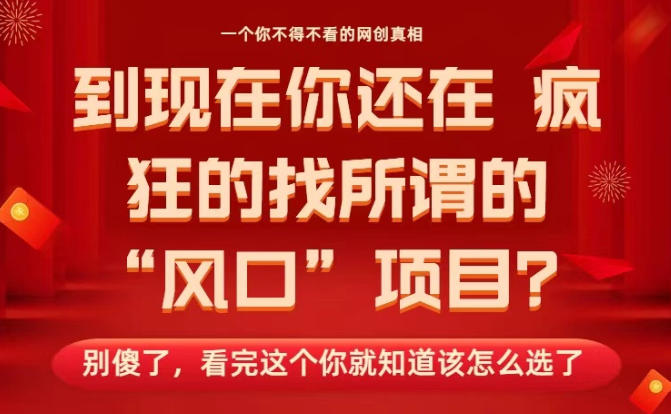 马上26年了，你还在找所谓的风口项目？别傻了，看完这个你全都懂了！【揭秘】-蓝海云网创
