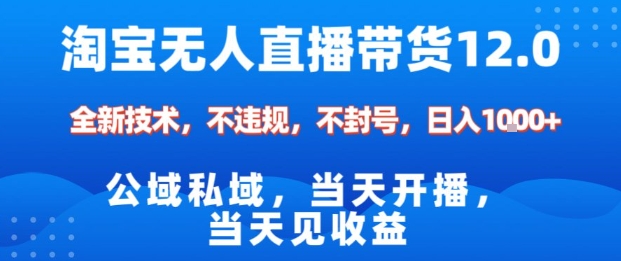 淘宝无人直播12.0，公域私域技术，不封号，不违规布局双十一流量风口，日入1k(独家技术)【揭秘】-蓝海云网创