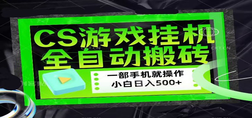 CSGO游戏挂机捡漏搬砖，超稳定的项目，带领1000+小白实现日入500+-蓝海云网创