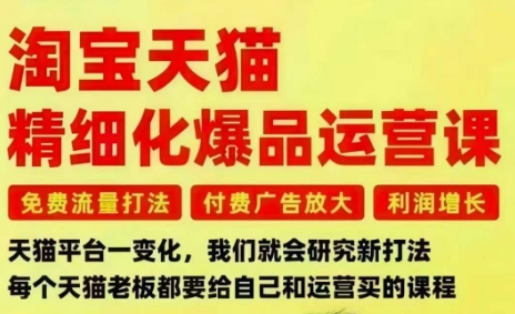 淘宝天猫精细化爆品运营课,免费流量打法-付费广告放大-利润增长-三大核心痛点,一次全部解决-蓝海云网创
