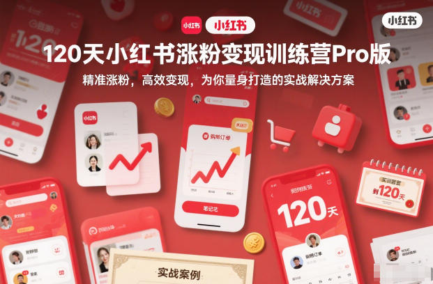120天小红书涨粉变现训练营Pro版，精准涨粉，高效变现，为你量身打造的实战解决方案-蓝海云网创